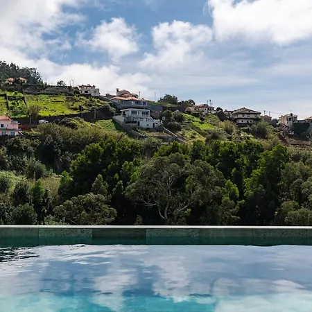 Island Roots By An Island * Calheta