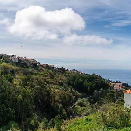 Island Roots By An Island