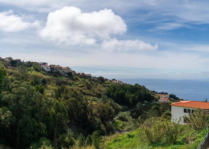 Island Roots By An Island